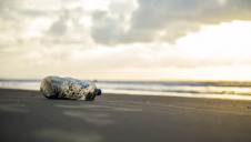 More than 300 million tonnes of plastic are produced each year